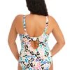 801444 Elomi Party Bay Plunge Swimsuit - 801444 Multi