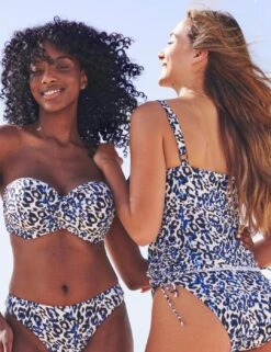 SW1653 Panache Serengeti Padded Bikini Top - SW1653 Blue Animal -FANTASIE Shop 378379 20230512103400